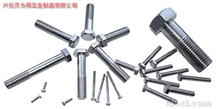 供應:316L 外六角螺栓,華人螺絲網提供各種供應:316L 外六角螺栓報價、價格、生產廠家、供應商-興化齊力得五金制品